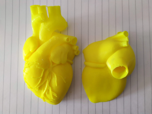 3D heart anatomical human heart human body life size heart 3d print file