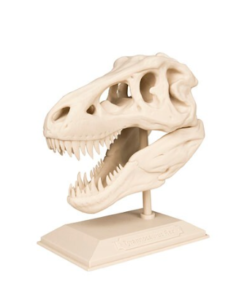 T REX Skull Tyrannosaurus Rex Bone dinosaur skeleton desk science archeology 3d print file