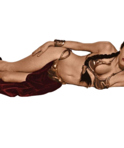 Star Wars Princess Leia Gold Bikini Slave Cosplay Model Stl 3d print file