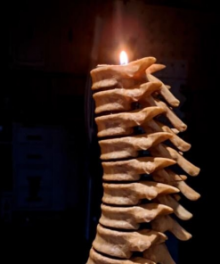 Harry Spine Candle Holder Spine Candlestick 3d print file stl