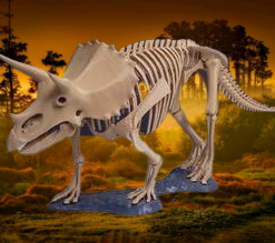 Triceratops Dinosaur Complete Skeleton Model Toy 3d print