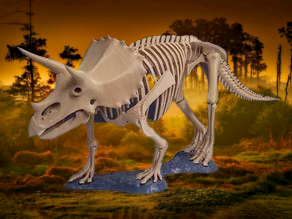 Triceratops Dinosaur Complete Skeleton Model Toy 3d print