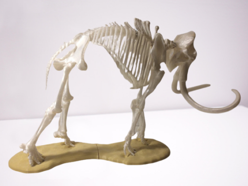 Mammoth Museum Skeleton Model 3d print