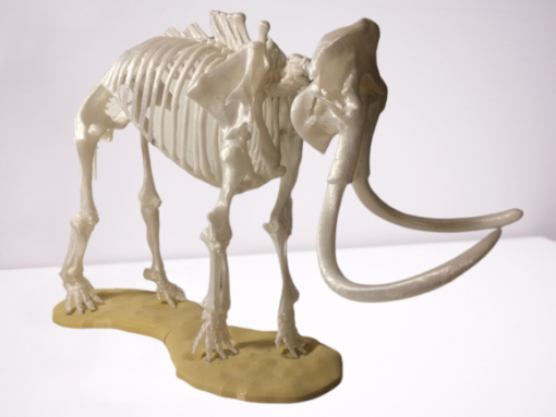 Mammoth Museum Skeleton Model 3d print