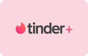 Tinder Plus Subscription 12 Months (Global)