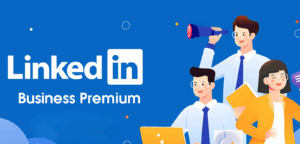 Linkedin Business Premium Plan 12 Months